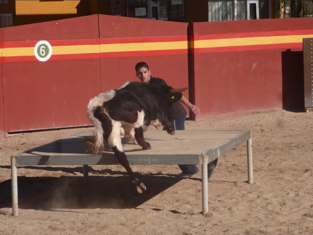  Going for the recent bullfighter 